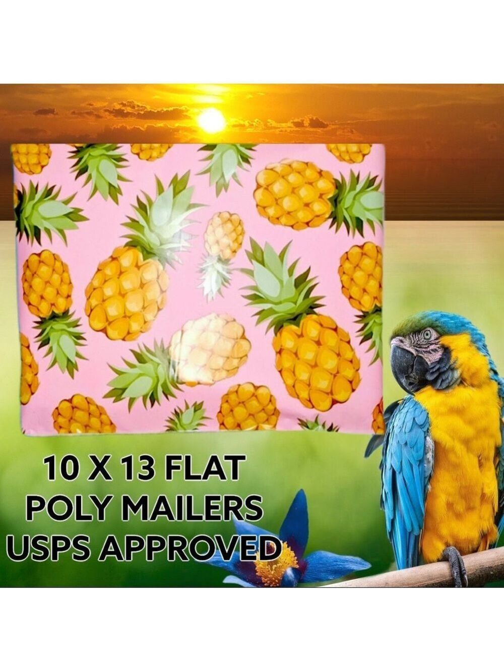 25 10X13 Poly Mailers Pineapple PRICE IS FIRM - Picture 9 of 15